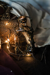 Fototapeta na wymiar Decorative magic bottle with lights with vines