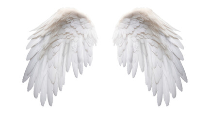 Realistic wings. A pair of white angel wings with 3D feathers isolated on a transparent background. PNG file.