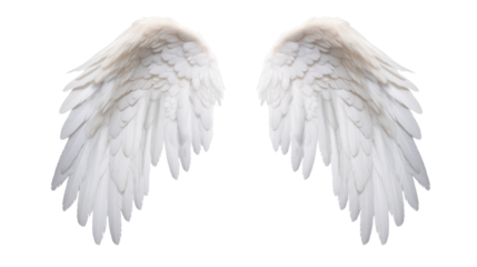 Realistic wings. A pair of white angel wings with 3D feathers isolated on a transparent background. PNG file.