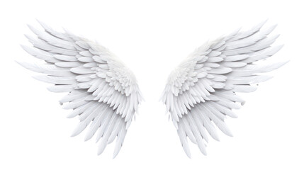 Realistic wings. A pair of white angel wings with 3D feathers isolated on a transparent background. PNG file. - obrazy, fototapety, plakaty