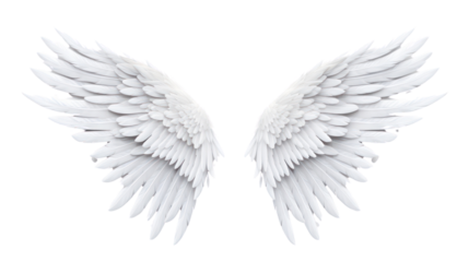Realistic wings. A pair of white angel wings with 3D feathers isolated on a transparent background. PNG file.