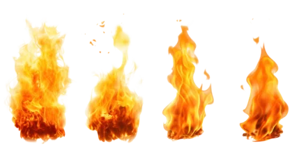 Deurstickers Realistic flames in various shapes Hot torch isolated on transparent background. PNG file. © venusvi