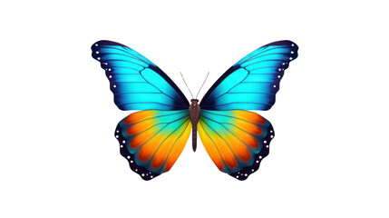 butterflies can fly Colorful butterflies on a clean background. spring and summer Isolated on a clear background, PNG file.