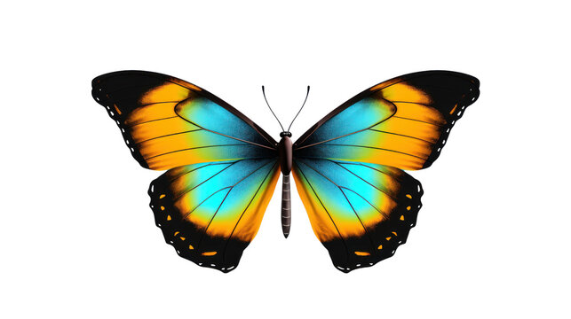 butterflies can fly Colorful butterflies on a clean background. spring and summer Isolated on a clear background, PNG file.