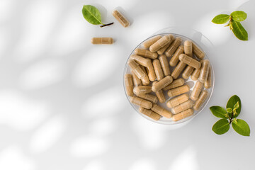 Vitamin capsules with a natural herbal composition. The concept of medicine, medicines. Copy space