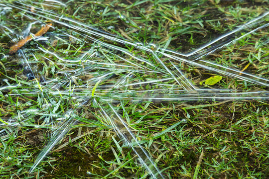 A layer of ice covering a waterlogged grass field after a cold night in the Netherlands. Following a period of heavy rainfall, the Netherlands experienced overnight frost. 