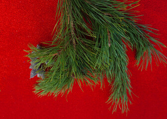 Christmas card on a red background Christmas tree sprig and balls