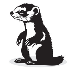 Ferret silhouettes and icons. Black flat color simple elegant white background Ferret animal vector and illustration.