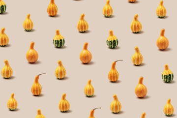 Top view pattern of Decorative pumpkins on beige background, Minimal style modern still life, autumn or fall season holiday or harvest concept. Autumnal mini gourd or squash, stylish layout