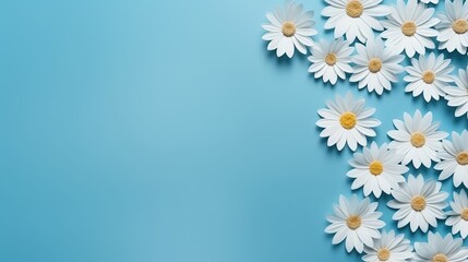 Flower border frame made of white and blue Daisy flowers on blue background. Seamless Greeting floral card template with copy space