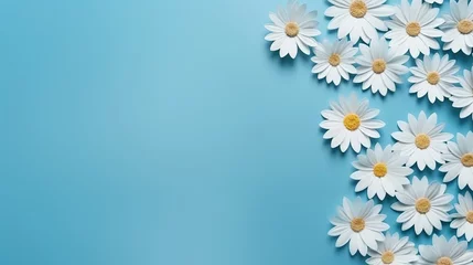 Poster Flower border frame made of white and blue Daisy flowers on blue background. Seamless Greeting floral card template with copy space © Boraryn