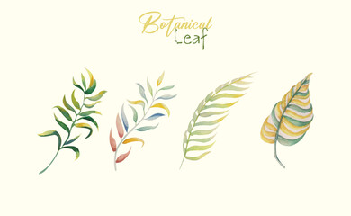 Watercolor floral elements