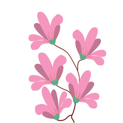 Fototapeta premium flower boutique 