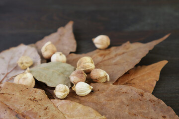 Fototapeta premium Closeup of White Cardamoms with Heap of Dried Bay Leaves on Black Wooden Background