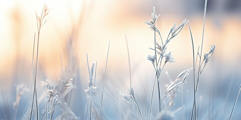 Subtle Elegance - Soft Focus on Chilled Nature - Crafting a Tranquil Outdoor Scene
