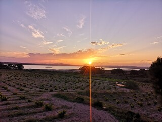 sunset on the beach © jose