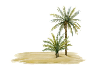 Palm trees on beach sand landscape watercolor illustration template isolated on white background. Hand drawn summer vacation on desert island © Elena Malgina