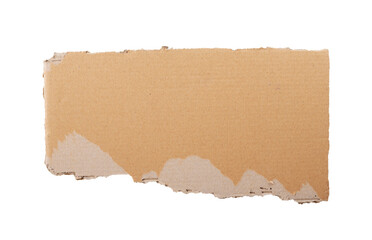Piece of torn cardboard on a white background.Torn wrinkled cardboard used as a background design element. 