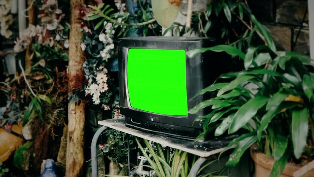 Vintage TV Green Screen Plants Garden Retro Television Zoom In. Vintage television with green screen, for replacement, outside in the garden. Zoom in