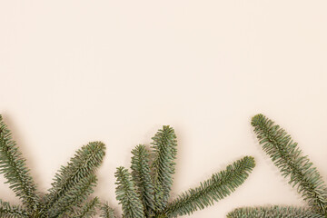 Row of nobilis fir branches on a beige background. Composition with copy space.