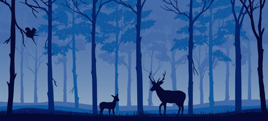 scenerSilhouette of deer, doe standing on meadow in forrest. 