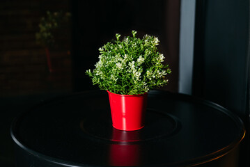 Small artificial plant with white flowers in a red bucket on a black round metal table. Dark bar interior.