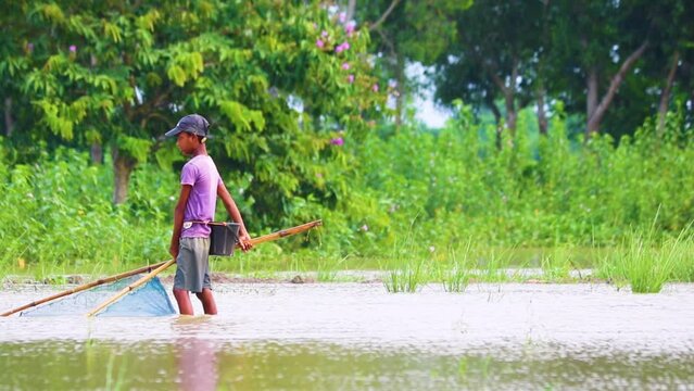 Rural young boy traditional fishing net in wetland Bangladesh countryside