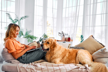 Best animal companion. Side view of charming young woman lying on comfy couch with adult golden retriever and working on wireless laptop. Freelancing at home with favorite pet.