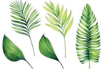Set watercolor painting palm leaf,green leaves isolated. Watercolor hand painted illustration tropical exotic leaf for wallpaper vintage Hawaii style pattern. Generative AI - obrazy, fototapety, plakaty