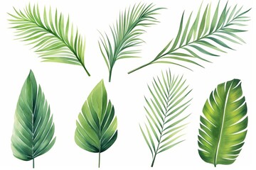 Set watercolor painting palm leaf,green leaves isolated. Watercolor hand painted illustration tropical exotic leaf for wallpaper vintage Hawaii style pattern. Generative AI - obrazy, fototapety, plakaty