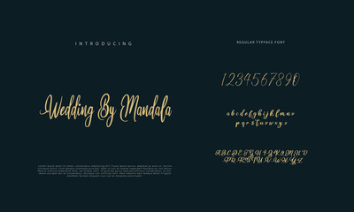 Elegant alphabet letters font and number. Classic Lettering Minimal Fashion Designs. Typography  Calligraphy modern serif fonts regular decorative vintage concept. vector illustration