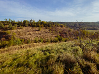 Gentle slopes of green hills with grass and coniferous trees on an autumn morning.