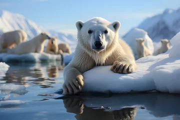 Keuken spatwand met foto Polar bear relax on an iceberg. © mitarart
