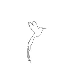 Obraz premium Flying hummingbird line icon flat sign vector