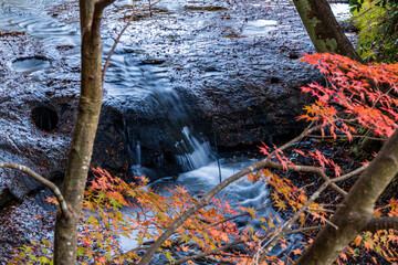 滝と紅葉