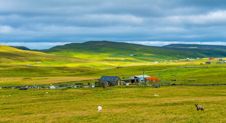 Fototapeta na wymiar Shetland, UK