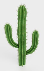 Realistic 3D Render of Saguaro Cactus