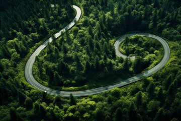 Aerial view of the road in the forest at sunset. Aerial view of a winding road in the middle of the forest