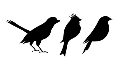 bird silhouette