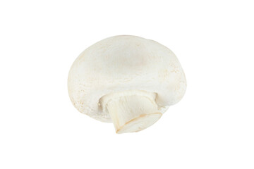champignon mushroom isolated from background
