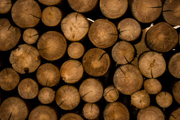Stack of logs in sawmill