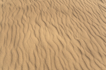 Yellow sand, setting a serene ambiance backdrop. Top view, copy space.