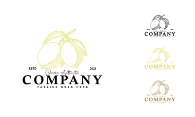  Botanical Lemon Logo Retro Design. Hand Drawn Lemon Vintage Emblem Isolated.