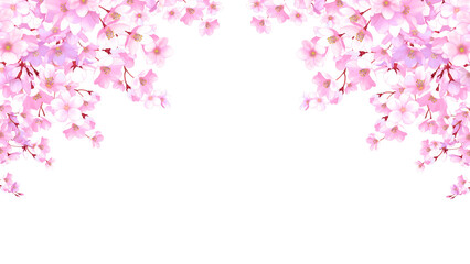 桜のフレーム　飾り枠　素材　お花見　入学　卒業　入園　卒園　ひな祭り　ひなまつり　白背景　白バック　16:9