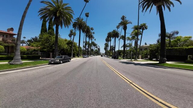 Beverly Hills Beverly Dr Northbound Palm Trees Rear View 01 at Carmelita Ave Driving Plate California USA Ultra Wide