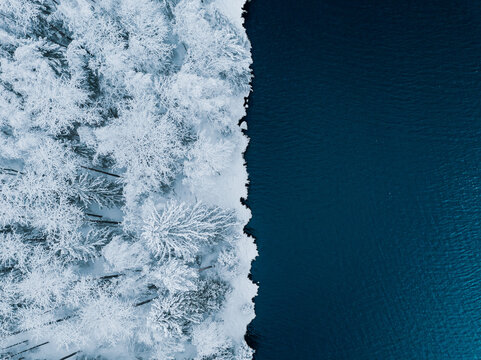 Aerial view of blue water sea and snow covered trees woods in winter Finland.