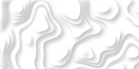 Abstract wavy line 3d paper cut white background. Topographic canyon geometric map relief texture with curved layers and shadow. Abstract realistic papercut decoration textured with wavy lines	