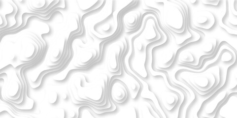 Abstract wavy line 3d paper cut white background. Topographic canyon geometric map relief texture with curved layers and shadow. Abstract realistic papercut decoration textured with wavy lines	
