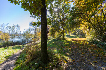 green area near Salzburg, autumn park and pond Salzachsee