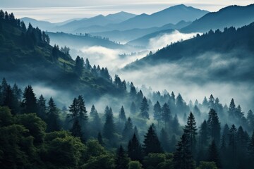 Obraz premium Misty mountain landscape